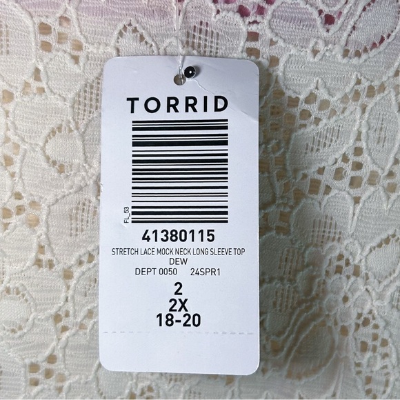 Torrid Stretch Lace Mock Neck Long Sleeve Top Cottagecore Sz 2 - Picture 3 of 5